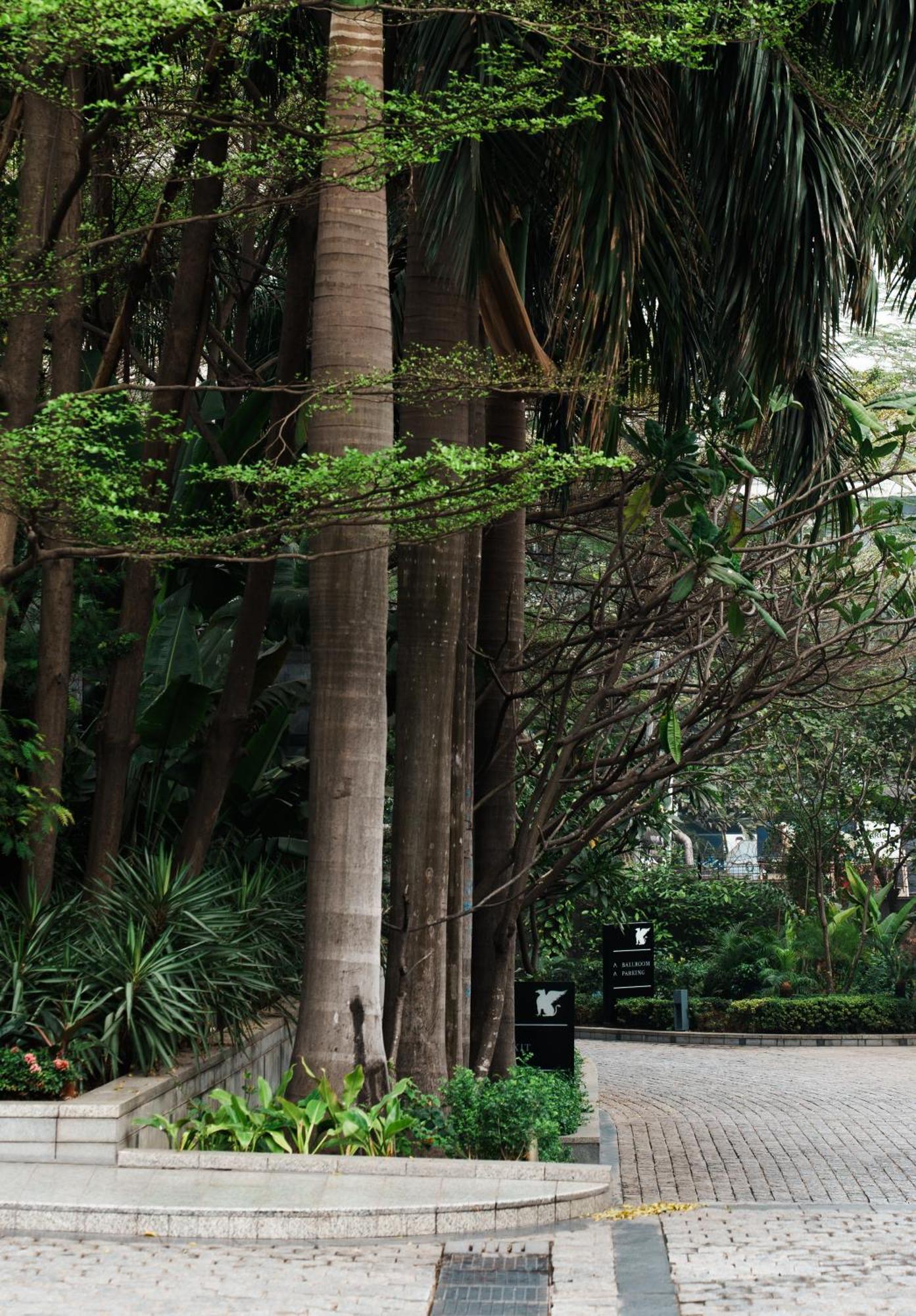 Jw Marriott Hotel כלכותה מראה חיצוני תמונה